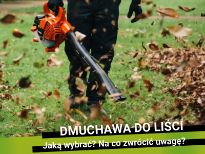 Dmuchawa do liści – jaką wybrać? Na co zwrócić uwagę przy zakupie?