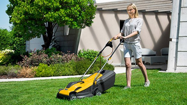 Jaką kosiarkę elektryczną kupić do 500 zł? Sprawdźmy!