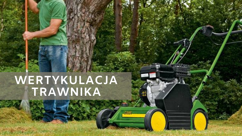 Wertykulacja trawnika — jak zrobić ją dobrze.