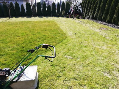 Wertykulacja trawnika – co to jest?