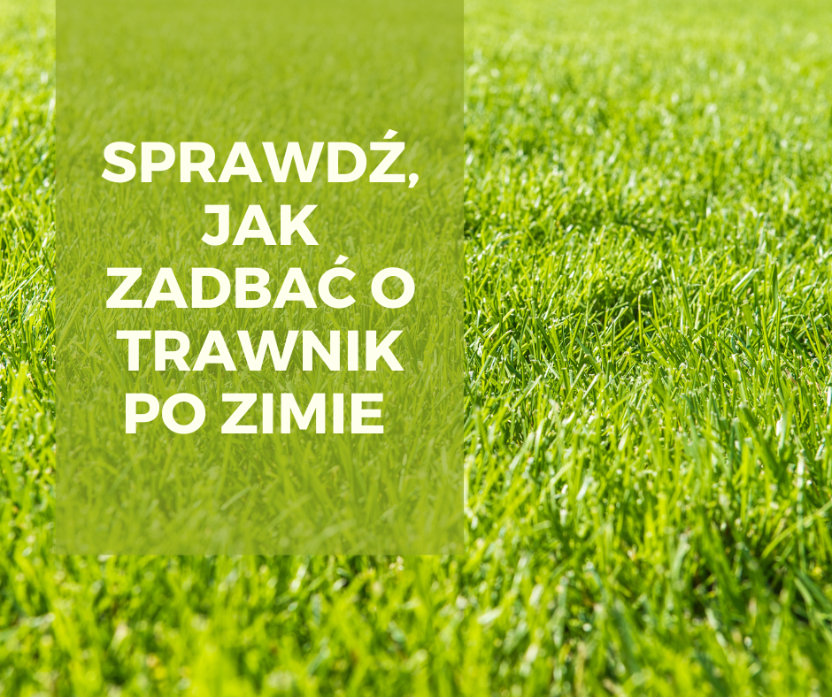 Trawnik marzeń – jak zadbać o trawę po zimie?
