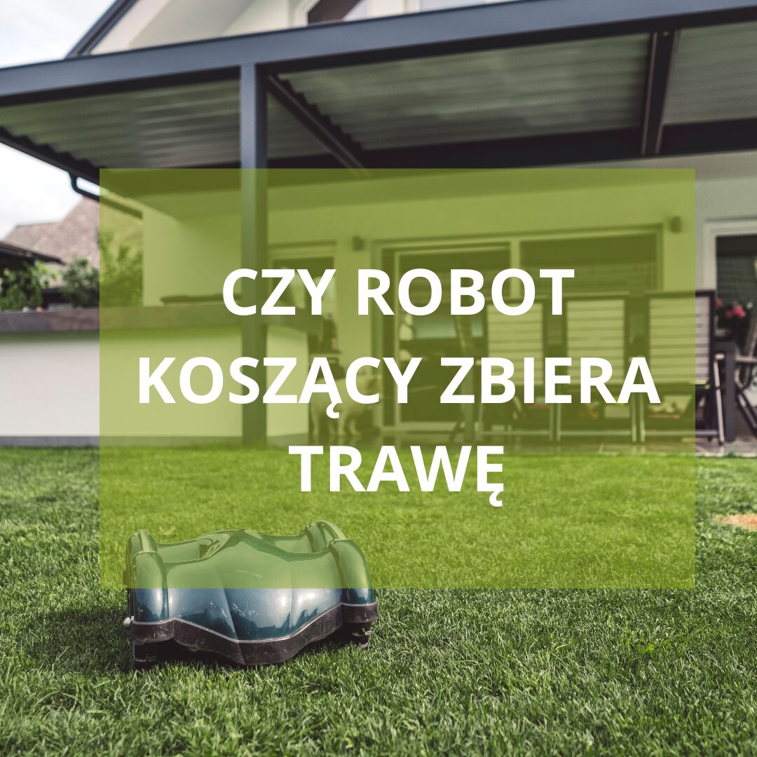 Czy robot koszący zbiera trawę?